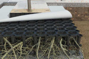 .הדמיית המערכת עם שורשים