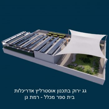 גג ירוק בתכנון אוסטרליץ אדריכלות - בית ספר מכלל - רמת גן